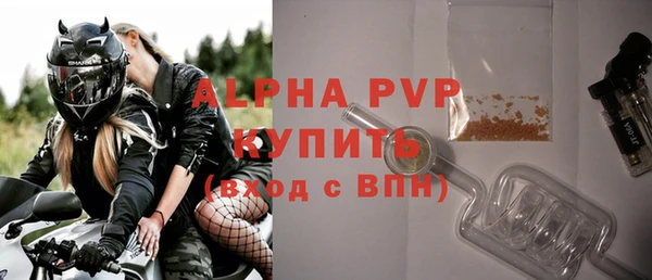 прущие грибы Наволоки