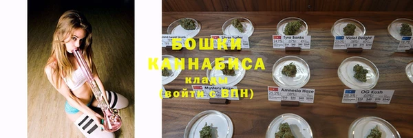 прущие грибы Наволоки