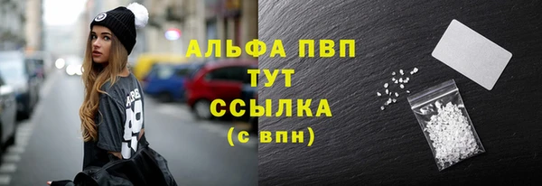 прущие грибы Наволоки