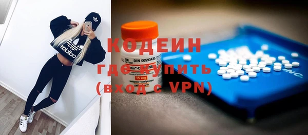прущие грибы Наволоки
