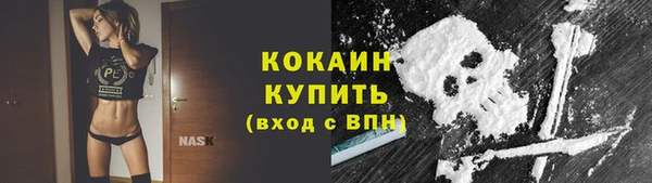 прущие грибы Наволоки