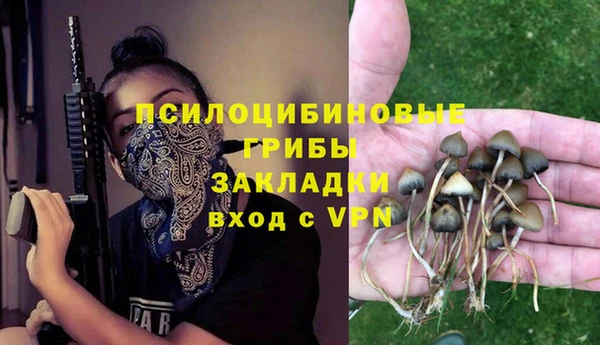 прущие грибы Наволоки