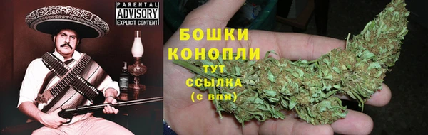 прущие грибы Наволоки