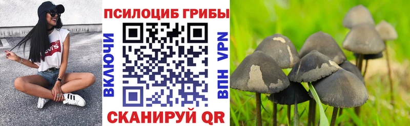 Купить  Реж  Псилоцибиновые грибы мухоморы 